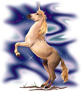 Wet Amber Unicorn